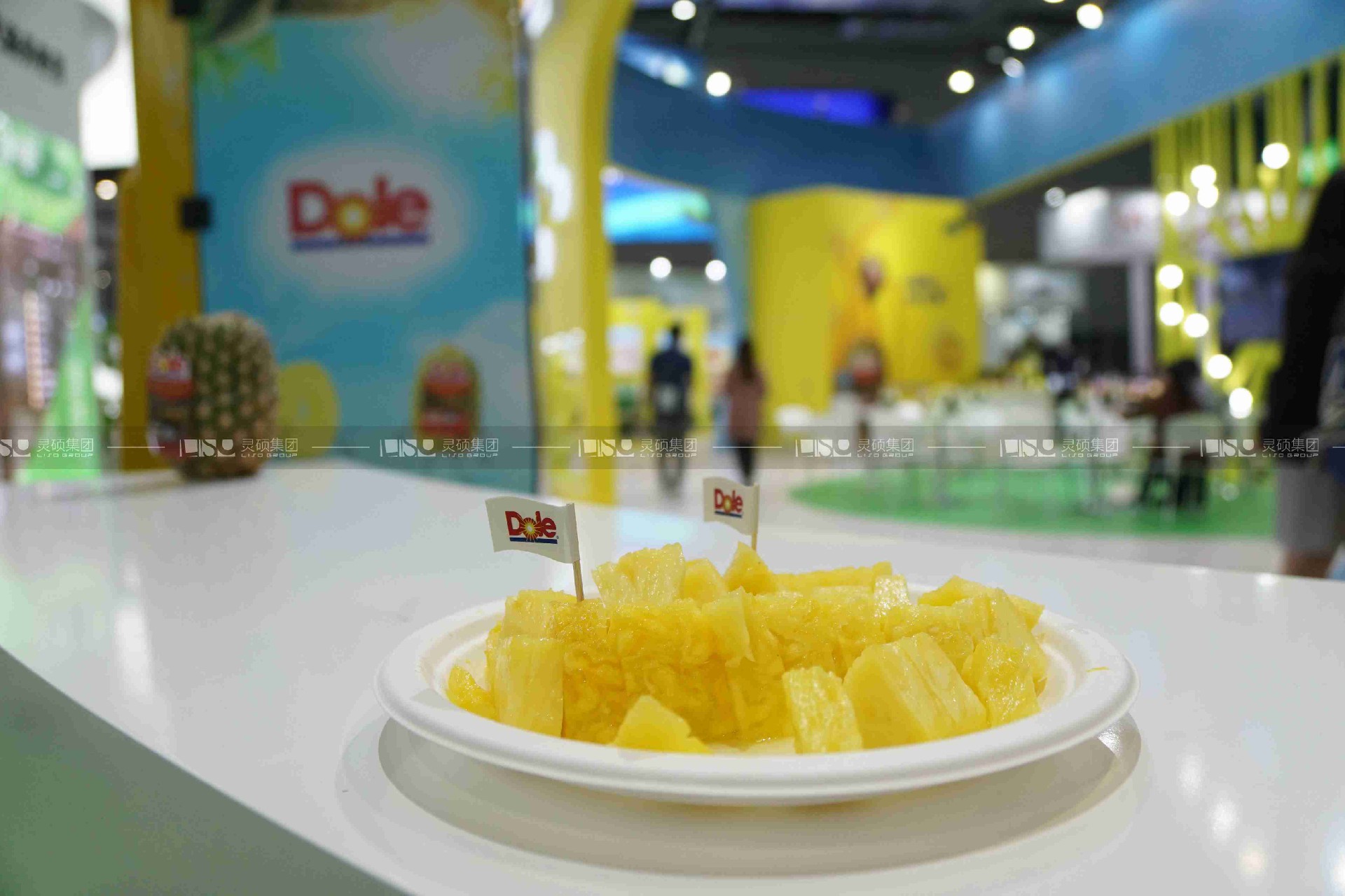 都樂(lè)-2019年上海展會(huì)展臺(tái)設(shè)計(jì)案例